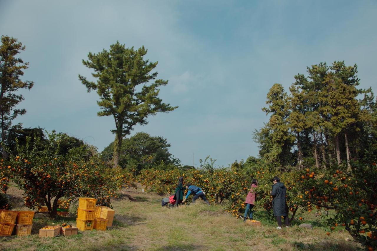 Vila Aewol Mihas Čedžu Exteriér fotografie